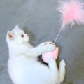 Miniatyrbild 3 av 5: Katt huvud tumbler katt leksak fjäder rolig katt leksak interaktiv s