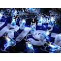 Miniatyrbild 2 av 6: Julgransljus 20 LED Önskeflaska Ljusslinga Krist