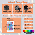 Miniatyrbilde 4 av 7: 3D Lampe Jinx Arcane Leke for Jenter Nattlys for Barn 16 Farger Skift Dekor Lampe