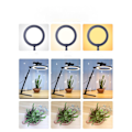 Miniatyrbild 5 av 5: Overhead Frame + 26cm Ring Light + Robotarm + Mobiltelefon
