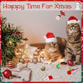 Miniatyrbilde 4 av 4: Katt Julekalender 2024, 24 Dagers Juleräknedagskalender med Utvalgte Interaktive Katteleker for Kattunger Katter Kjæledyr Overraskelse Julegaver til Katt