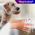 Miniatyrbild 5 av 6: Dotpet Hund Leksak Boll, Interaktiv Elastisk Hundboll, Hållbar D