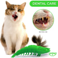 Miniatyrbild 6 av 6: Kattandborste Catnip-leksak - Hållbart hårt gummi - Kattandvård
