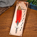 Miniatyrbillede 4 af 9: Europæisk Retro Fjer Dip Pen Legering Nibs Kalligrafi Skrivepen Gave (Rød)