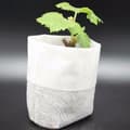 100-Pack - Empty Seed Bags / Seedling Bags - Plant