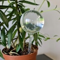Pikkukuva 5 / 8: Kastelupallot - Muovi - 8 kpl Transparent Transparent