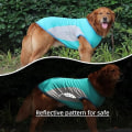Miniatyrbillede 5 af 5: Hundekøleveste Øjeblikkelig Kølende T-shirt Sommerjakker Gåture