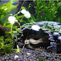 Miniatyrbillede 5 af 5: Fiskestank Brudt Spand Hule Dekoration Akvarium Fiskestank Harpiks