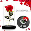 Miniatyrbillede 4 af 5: 1 stk Evig Rose i Klokke, Morsdagsgave, Fortryllet Rose