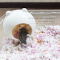 Miniatyrbillede 3 af 5: Rotte gemmested, Hus Habitat Dekoration Dværghamster Syrisk hamster Gerbil (hvid)