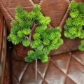 Miniatyrbilde 3 av 5: Kunstig Bonsai-plante Realistisk Simulering av Furu Nåler