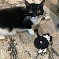 Miniatyrbillede 3 af 5: Sjov Katte-Røv Hæklet Drikkeunderkop, Katte-Røv Drikkekop Underlag Håndlavet Hæklet Kops Underkop, Pletbestandig, Absorberende