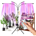 Miniatyrbilde 1 av 5: 80W LED-vekstlys med stativ for innendørs planter, plantelys