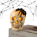Miniatyrbillede 4 af 5: Halloween Skeletlampe - Meget Realistisk Menneskeskalle Statue
