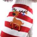 Miniatyrbild 1 av 4: Jultröja för katt och hund, tomte, vinterkläder i stickad ull