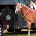 Miniatyrbillede 5 af 5: Hay Horse Foderpose, Holdbar Fodernet til Ged og Alpaka Langsom