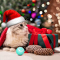 Miniatyrbild 5 av 5: 1 st (Rosa) Smart Cat Ball, Interaktiv Kattleksak, 360 Grader