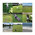 Miniatyrbilde 5 av 5: Hundehalsbånd 5m, Langt treningsbånd for hunder, Ideelt for fotturer, C