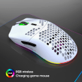 Miniatyrbilde 1 av 5: Hvit Trådløs Mus, RGB Lysende Mus Hull Makro Programmering Ga