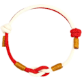 Miniatyrbild 1 av 4: Handgjorda flätade charm-knutarmband i blandade färger, vävt rep, justerbart armband, vänskapspar, lycka, skydd