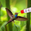 Pikkukuva 2 / 4: 1 kpl 2 pulloa Ikkuna Hummingbird Feeder Ulkona Patio Puutarha