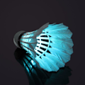 Pikkukuva 5 / 5: 4 kpl Sulka Badminton Set Pimeä Yö Glow Sulkapallo Linnut