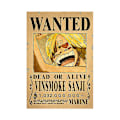 Miniatyrbillede 5 af 5: 42 X 28,5 cm OnePiece HD Maleri Poster Sæt Kunstpapir