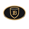 Miniatyrbillede 1 af 4: Høj kvalitet Hybrid bil logo, høj kvalitet, logo modifikation, til Byd S7 S6 F3 E2 F6 G5 Song L3 Tang F0 G3 G6 Guld front etiket