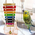 Miniatyrbillede 2 af 5: Gimbal bælg klemmetang, Multicolor, 220 mm