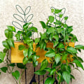 Miniatyrbillede 4 af 5: Kobberbånd mod snegle, 30 mm x 20 m Anti-sneglebarrierebeskyttelse mod snegle hævede bedplanter, selvklæbende kobberbåndsforsvar mod snegle