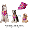 Pikkukuva 4 / 5: HAPPY Dog Syntymäpäivä Huivi, Koiran ja Kissan Säädettävät Huivi Kolmio