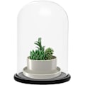 Miniatyrbillede 3 af 4: Sort træbase 20 cm - transparent dekorativ glas klokke