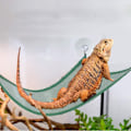 Pikkukuva 2 / 5: 2 Pakkia Ripustussängyn Tarvikkeita Kaltevan Tikkaiden Hammock Parrakas