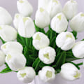 Miniatyrbillede 5 af 5: 10 stk Kunstige Tulipaner Falske Blomster Latex Materiale Ægte
