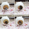Miniatyrbillede 2 af 5: Rotte gemmested, Hus Habitat Dekoration Dværghamster Syrisk hamster Gerbil (hvid)