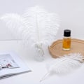 Miniatyrbillede 5 af 5: 24 stk Champagne Struds fjer i bulk 10-12 tommer Boho fjer