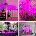 Miniatyrbilde 2 av 5: 80W LED-vekstlys med stativ for innendørs planter, plantelys