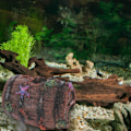 Miniatyrbillede 5 af 5: Akvarie Dekoration Harpiks Fiskekum Ornament, Akvarie Ornamenter