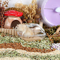 Miniatyrbillede 3 af 5: Sandbad til Hamster (L), Transparent Sandbad til Hamster med