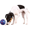 Miniatyrbilde 4 av 4: Aktivitetsball i plast for hunder, 9 cm i diameter