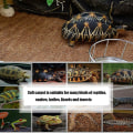 Miniatyrbild 4 av 5: Reptilmatta Kokosfiber Sköldpaddsmatta Matta för Djur Terrarium Foder