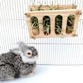 Miniatyrbillede 5 af 5: Kanin Høfoder Foldbar Træ Høfoder Fast Bakke Guinea