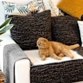 Miniatyrbild 5 av 5: Kattklösmatta - Skydd för Soffa, Fåtölj, Möbel, Golv