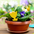 Miniatyrbillede 3 af 5: 48 stk. Stik-Fluesnapper Gule Plader Gul Sticker Plante