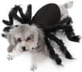 Husdjurskläder, Cosplay Spindelkostym Katt Hund Rollspel Klä upp