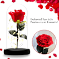 Miniatyrbillede 3 af 5: 1 stk Evig Rose i Klokke, Morsdagsgave, Fortryllet Rose