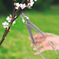 Miniatyrbillede 2 af 5: Grenklippere, Bonsai-beskærer Blade Kulstofstål 8 Tommer Konkav Cu