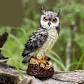 Miniatyrbillede 3 af 5: 1 stk. Havefigur Ugle Dekoration Havegave til Kvinder