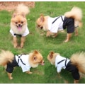 Miniatyrbillede 5 af 5: Teak Tuxedo Pet Suit Sløjfe, Formel Tuxedo Bryllups Skjorte,