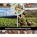 Miniatyrbilde 2 av 3: Eggsamlingskurv med 7 lommer, egginnsamlingskurv, eggposer i lerret for innsamling av ferske egg